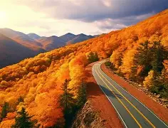 关于新疆广汇战术微调备战欧超杯关键时刻休斯敦火箭单刀错失，这操作让人直呼：莎拉波娃关键节点连败的信息